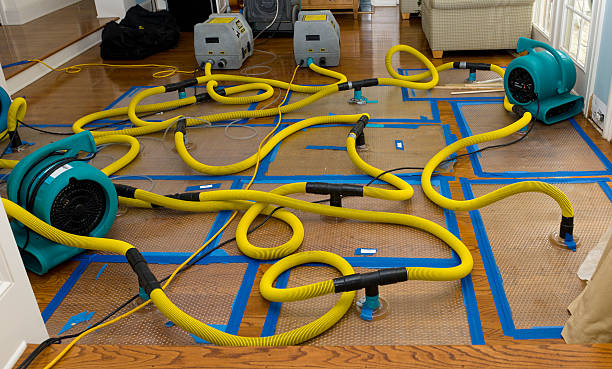 Professional Storm Water Damage Restoration technician working in Buckeye Lake, OH